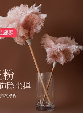 艺之初玉粉鸵鸟毛掸鸡毛掸子静电除尘扫灰家用装饰掸灰尘清理神器