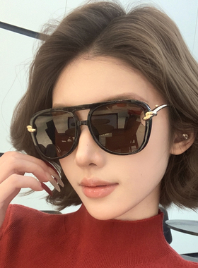 欧美墨镜女款高级感2026新款大框圆脸显瘦防紫外线个性时髦太阳镜