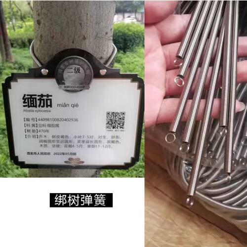 304不锈钢超长拉簧弹簧拉簧