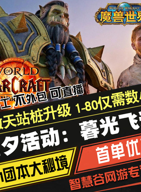 魔兽世界代练打肝正式服前夕活动暮光飞升1-80站桩练等级代升级