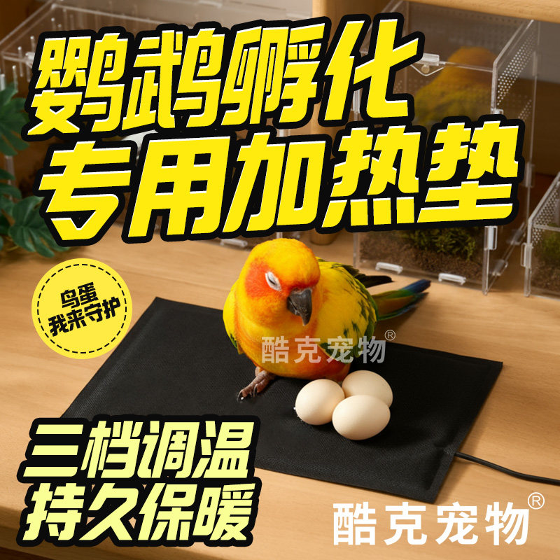 鹦鹉雏鸟USB加热垫三档调温牡丹虎皮玄风幼鸟过冬加温保温鸟用品,宠物/宠物食品及用品,鸟禽其他,淘宝优惠券,粉丝福利购,淘宝优惠卷