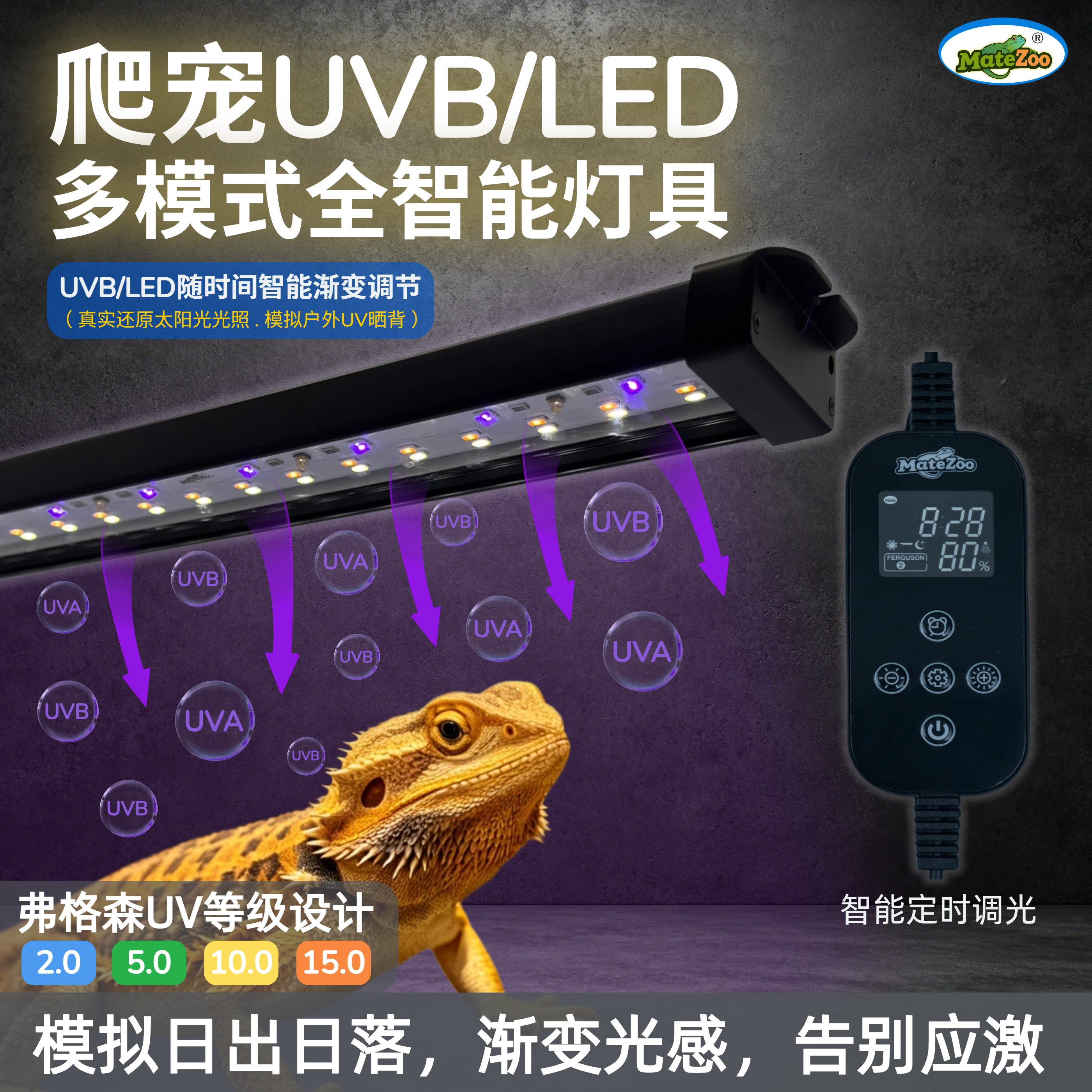 乌龟晒背灯爬宠led灯uvb补钙灯定时uvb全光谱蜥蜴鬃狮陆龟鹦鹉uvb