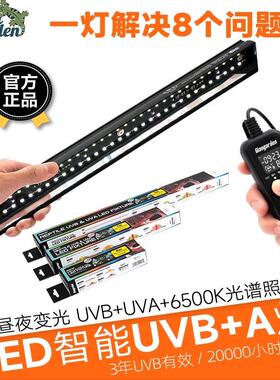 Giangarden爬宠可调智能uva+uvb水龟鬃狮蜥蜴变色龙补钙灯