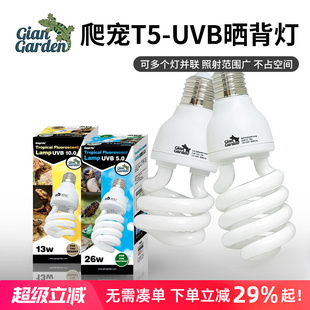爬宠UVB灯补钙晒背爬虫乌龟陆龟鬃狮蜥蜴饲养箱灯管太阳灯
