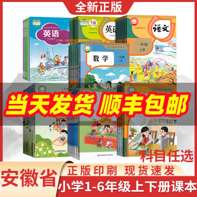 【新华正版】安徽省用小学