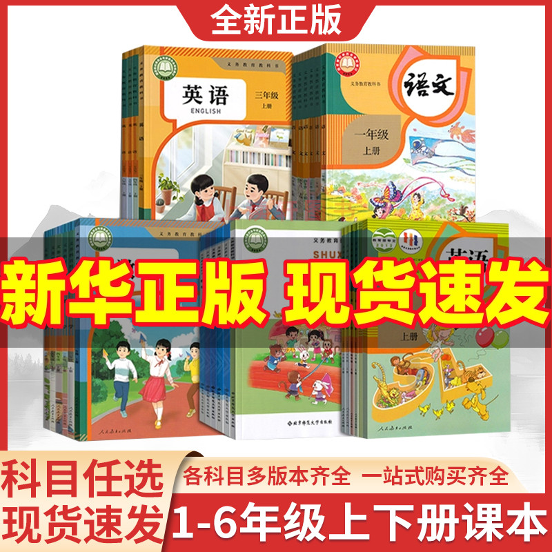 【新华书店正版】小学一年