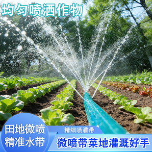 农村菜地庭院自动喷淋浇水系统滴灌带微喷管浇菜神器喷灌水管