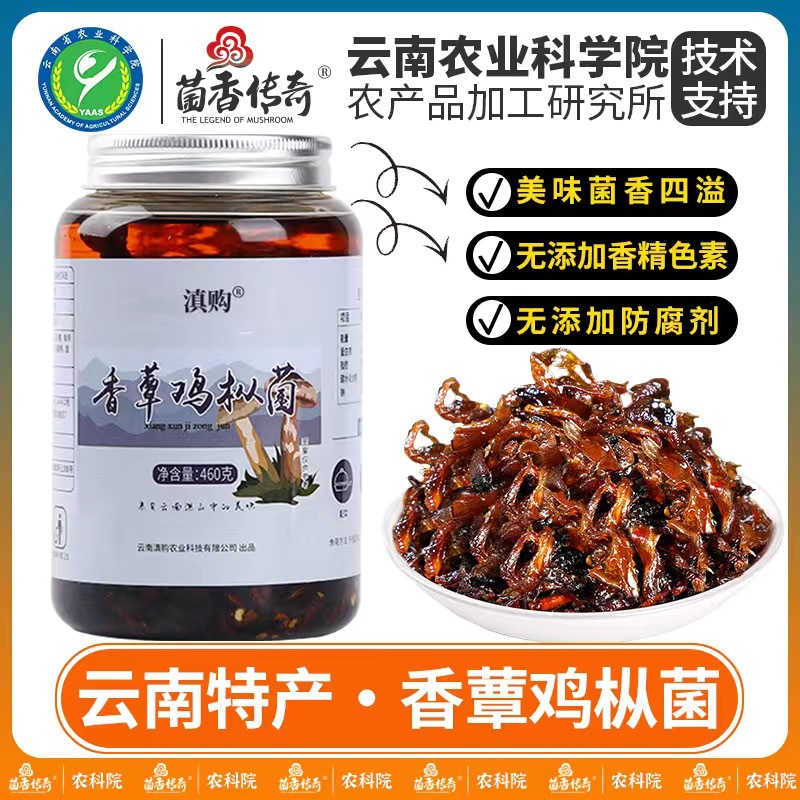 油鸡枞菌460g云南特产即食香辣松茸菌牛肝菌下饭菜拌面香菇酱