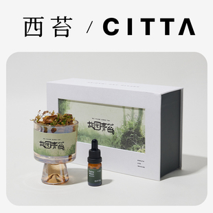 CITTA 520礼物香薰礼盒扩香石家用室内晶石香氛摆件 西苔大地岩苔