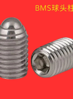 BMS3/4/5/6/8/10/12/16不锈钢球头柱塞 C-BSX10-10P