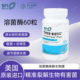 SFI Plus Ther 保税 Biotic InterFase 60粒 溶菌酶肠道胶囊