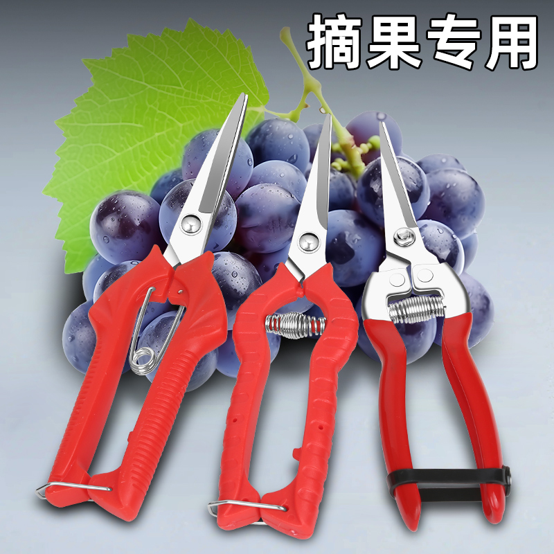 蔬果剪刀修枝剪园艺剪子摘果工具