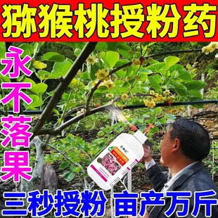 猕猴桃花粉授粉药座果灵红心专用保花保果防落果催花神器增产增收