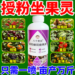 授粉座果精西瓜李子猕猴桃授粉花粉专用药果树樱桃车厘子授粉神器