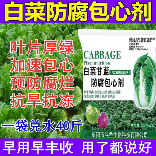 白菜甘蓝防腐包心剂包心菜大白菜软腐专用药病菌清防腐烂叶面肥料