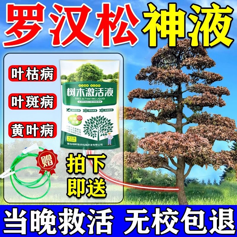 罗汉松专用营养液防治黄叶枯病叶干尖白粉病专用肥烂根吊针复活液,鲜花速递/花卉仿真/绿植园艺,家庭园艺肥料,淘宝优惠券,粉丝福利购,淘宝优惠卷