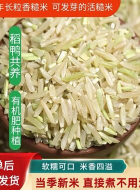 长粒香糙米25年新农家新鲜现磨辅食杂粗粮可发胚芽健身代餐饱腹