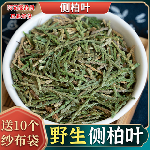 侧柏叶中药材500g野生侧伯叶粉新鲜干货洗头桑叶当归干姜首乌浮萍