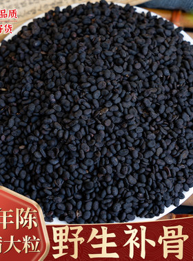 补骨脂中药材500g克野生补骨脂粉破故纸新货补骨脂黑故子婆固脂