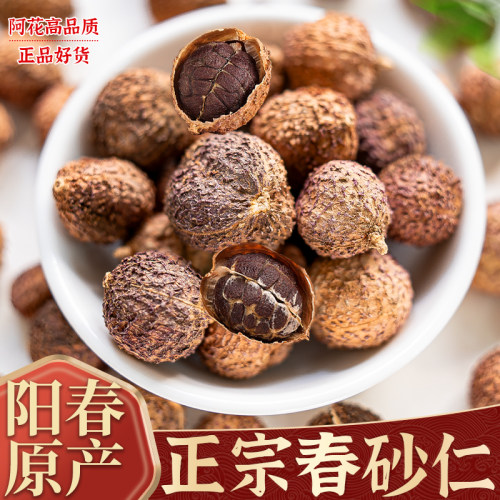 春砂仁中药材正宗阳春砂仁阳春特产野生春砂仁果陈皮煲汤