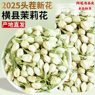 茉莉花干花新茶特级花蕾花苞茉莉花茶官方浓香型茶包横县茉莉花干