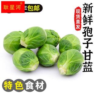 孢子甘蓝新鲜食用西餐沙拉蔬菜食材迷你小宝菜小卷心菜抱子甘蓝