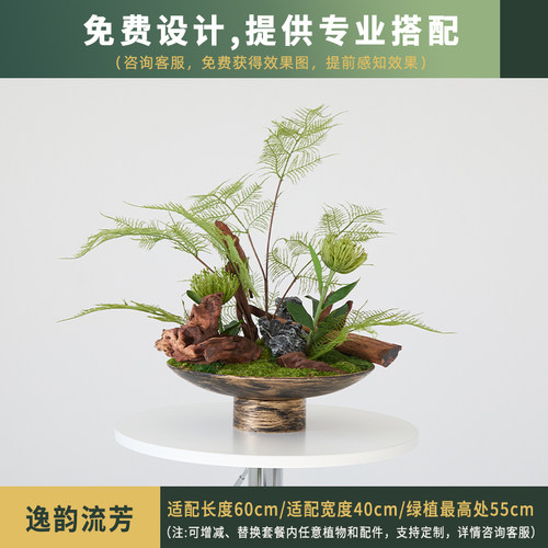 中国风金属仿真文竹永生苔藓盆景