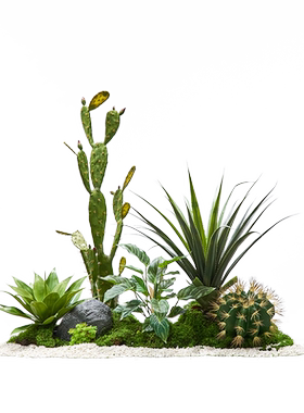 大型仿真仙人掌造景植物盆栽