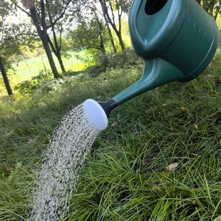 10L洒水壶长嘴大容量塑料淋花壶家用浇菜花洒喷壶园艺浇花水壶