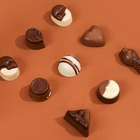 Guylian Belgian imported chocolate Gift box, filled heart chocolate candy snack gift thumbnail 6