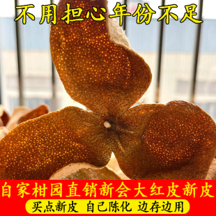 正宗广东特产新会新皮2025年鲜果大红皮茶枝柑新皮3年官方旗舰店