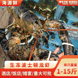 进口加拿大波士顿龙虾鲜活冻虾新鲜活冻大龙虾波龙特大澳洲澳龙虾