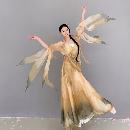 聚美深秋古典舞蹈服大袖衫大摆裙