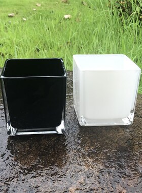 黑色白色正方形水培玻璃容器透明方缸水培铜钱草绿萝花盆小号