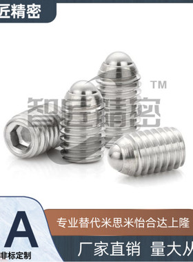 NBSS/NBSM/NBSZ/NBSX3/4/5/6/8/10/12/16不锈钢球头柱塞