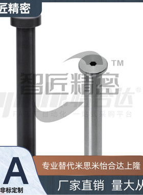 MIJ02/MIJ04/MIJ05/MIE12/MIE14-D4 D6 D8 D15-L20 L25带肩铰链销