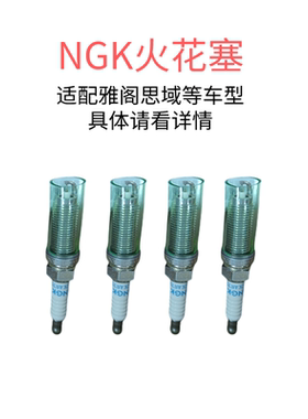 NGK火花塞  R1G/5R0/59B/6A0/6C1/5PA/RDF 适配雅阁思域等 见详情