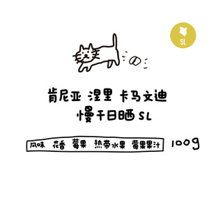 河汉咖啡肯尼亚涅里卡马文迪慢干日晒SL浅烘手冲咖啡豆新鲜进口