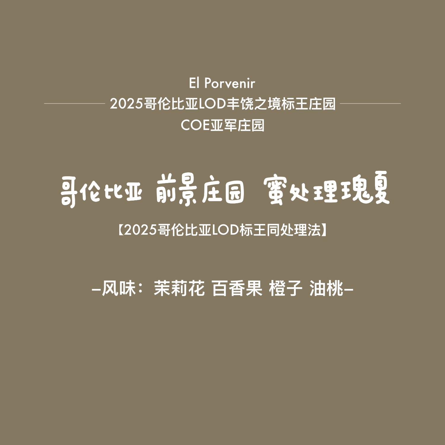 【2025LOD标王同处理法】河汉咖啡前景庄园蜜处理瑰夏浅烘咖啡豆 - 实物图