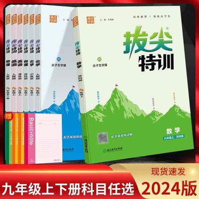 2024拔尖特训九年上册语文数学