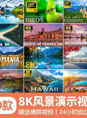 8K自然风景动物超高清演示片航拍素材