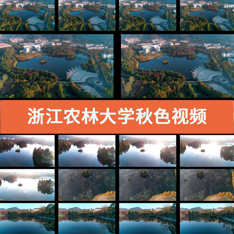 航拍浙江农林大学秋色美景高校校园风光如画视频素材