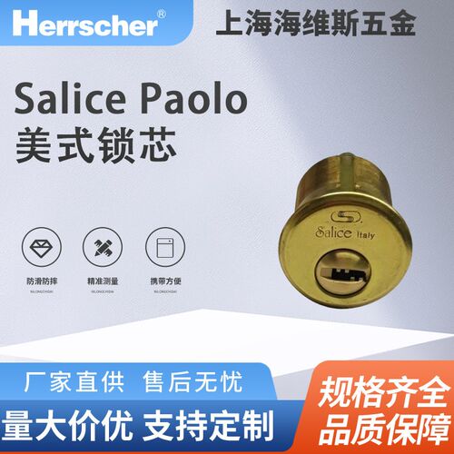 意大利进口Salice Paolo铜质美式锁芯环保酒店住宅入户门室内门