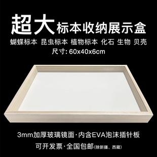 蝴蝶标本超大小黑夹盒松木实木玻璃标本框diy手工昆虫存放盒展示