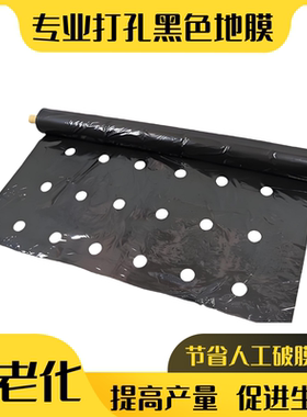 打孔黑色地膜除草保温保湿抗老化药材蔬菜辣椒朝天椒专用开孔地膜