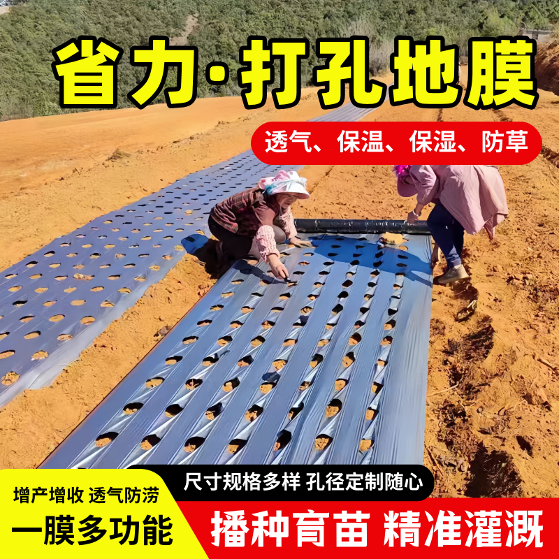 打孔地膜农用种植有孔带孔防草辣椒药材塑料薄膜银黑色免开孔地膜