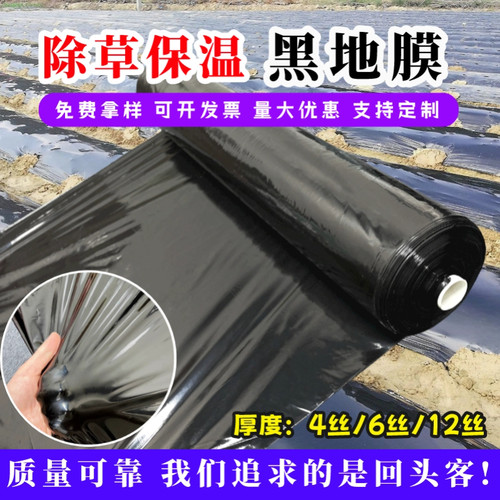 特厚黑农用种植地膜果园除