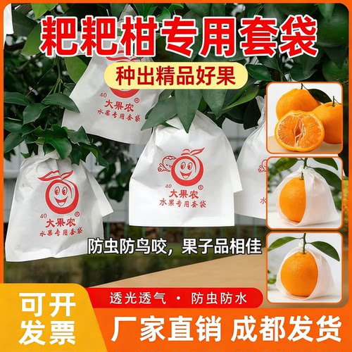 粑粑柑套袋石榴芒果柑橘果冻橙用