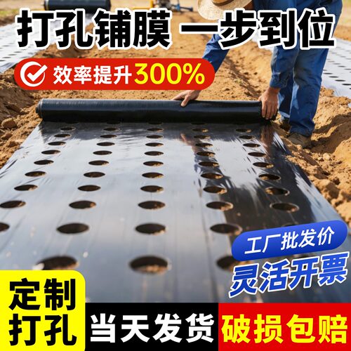 打孔黑色地膜保温保湿抗老化薄膜药材小葱辣椒朝天椒专用开孔种植