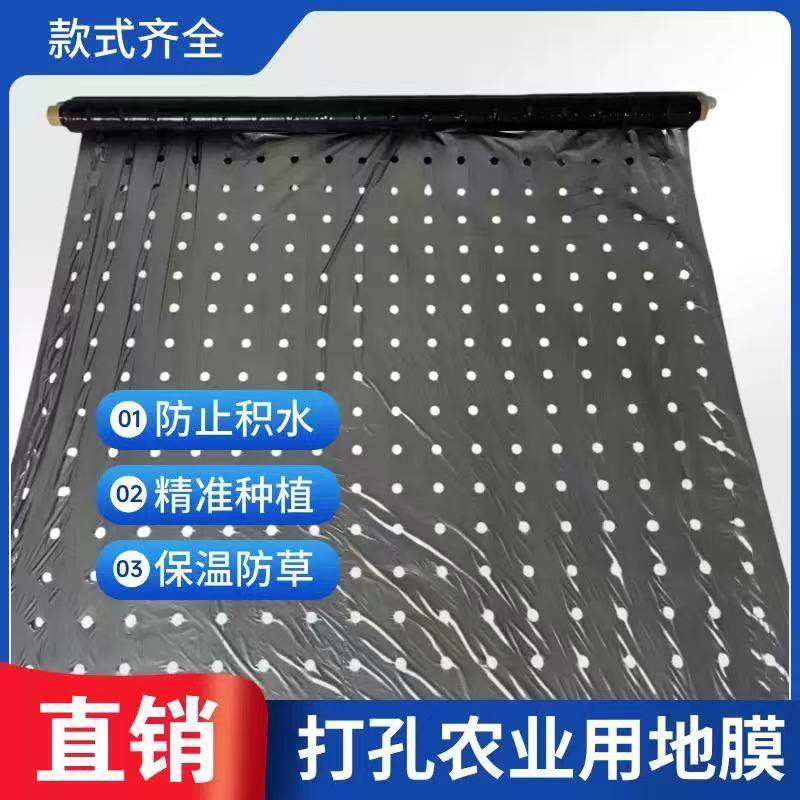 打孔银黑地膜农用种植种菜专用塑料薄膜防草有孔辣椒药材免开孔,农机/农具/农膜,农用薄膜,淘宝优惠券,粉丝福利购,淘宝优惠卷